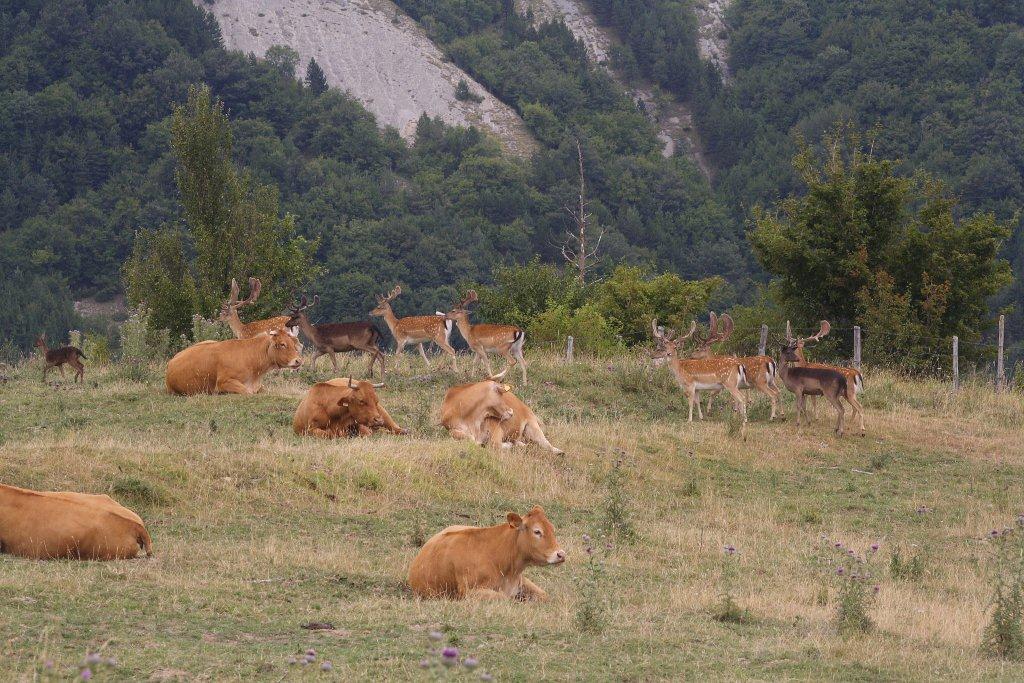 Fusoni,Balestroni e Palanconi: tutti insieme in relax